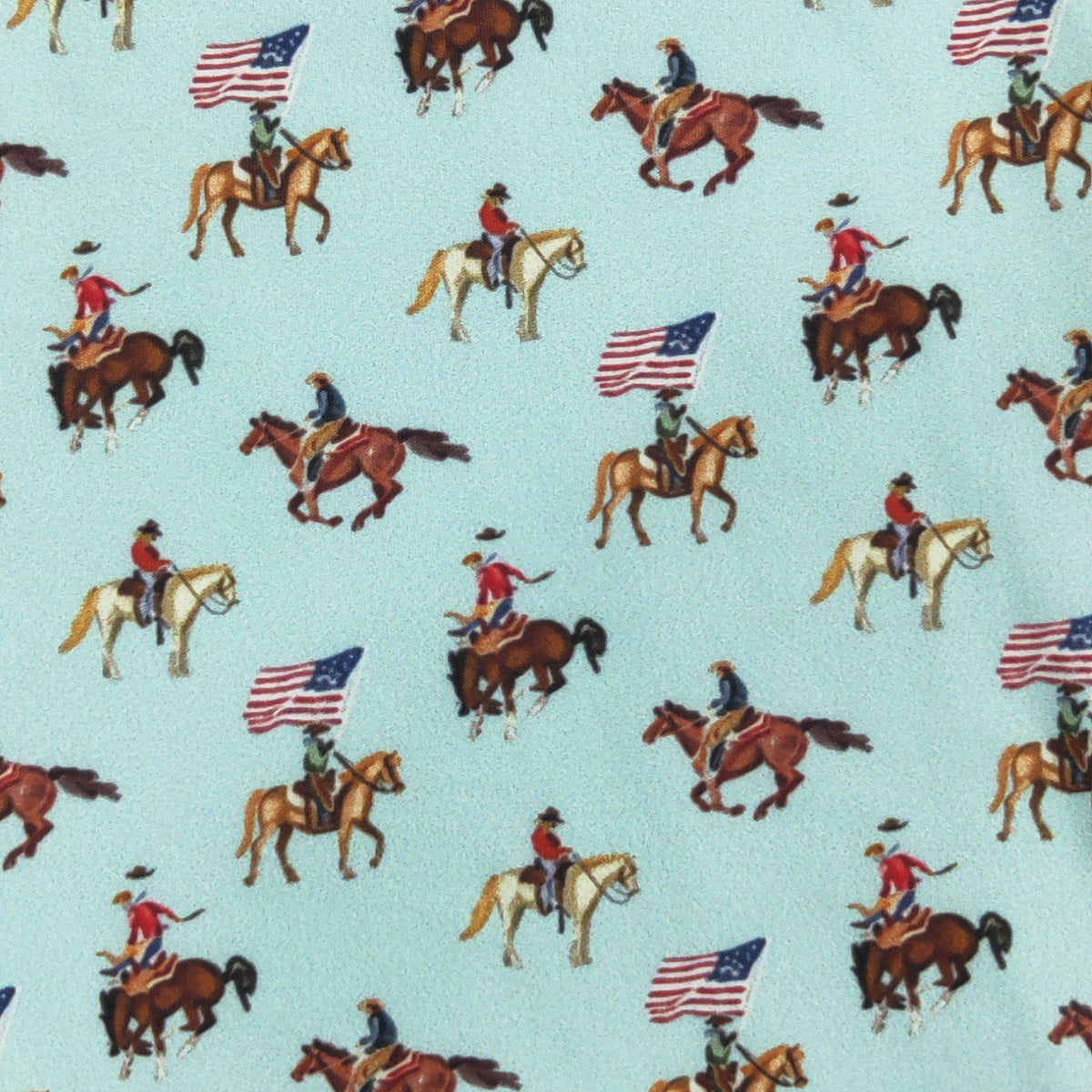 Red, White & Rodeo Boy Quarter Zip